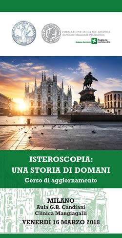 Isteroscopia: una storia di domani