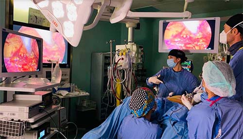 Corso teorico pratico di chirurgia laparoscopica ginecologica avanzata