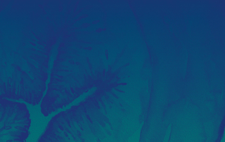 Corso di Perfezionamento in VIDEOLAPAROSOPIA GINECOLOGICA