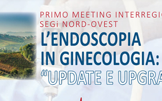 L’endoscopia in ginecologia: “update e upgrade"
